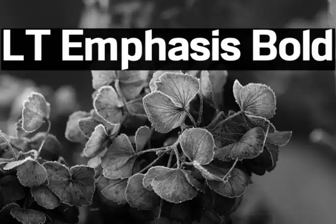 LT Emphasis Bold Font examples