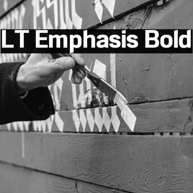 LT Emphasis Bold Font examples