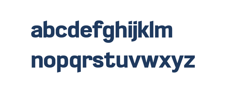 LT Emphasis Bold Lowercase