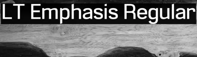 LT Emphasis Regular Example 1