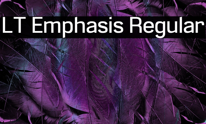 LT Emphasis Regular Example 2