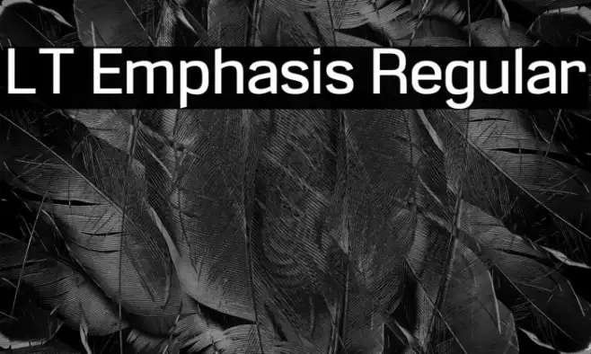 LT Emphasis Regular Example 2