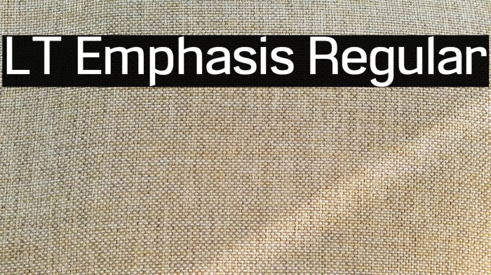 LT Emphasis Regular Example 3