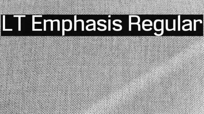 LT Emphasis Regular Example 3