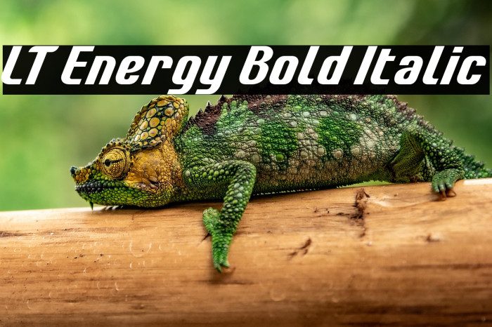 LT Energy Bold Italic Example 2