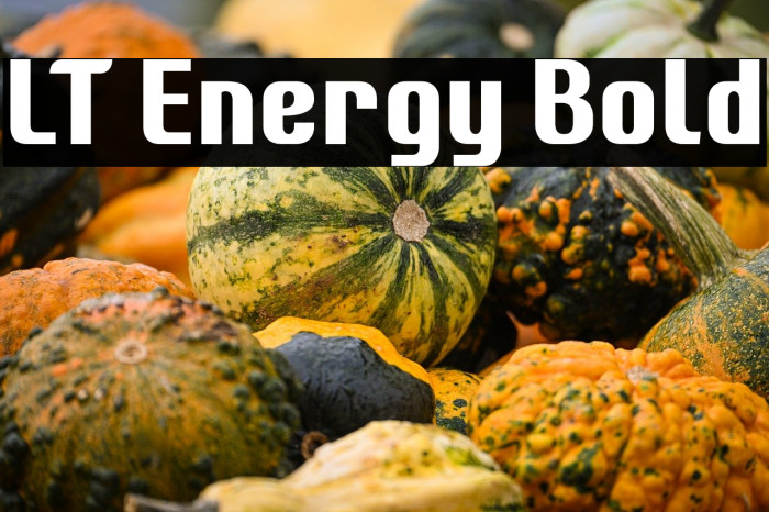 LT Energy Bold Example 3