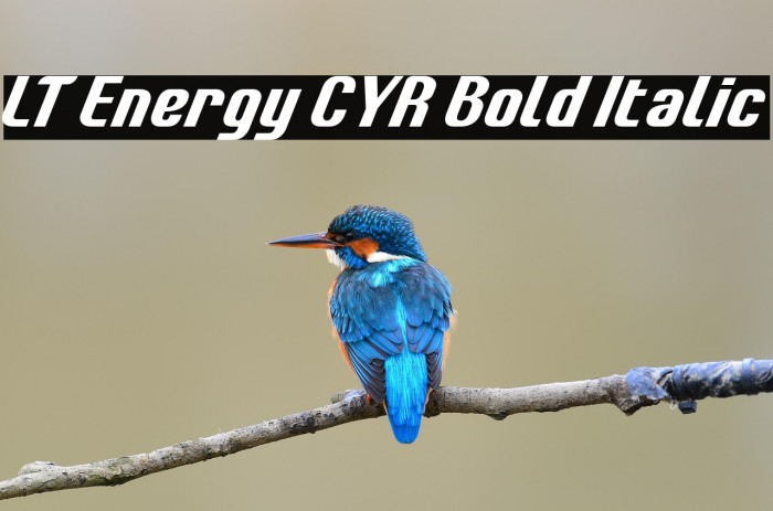 LT Energy CYR Bold Italic Example 3