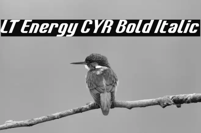 LT Energy CYR Bold Italic Font examples