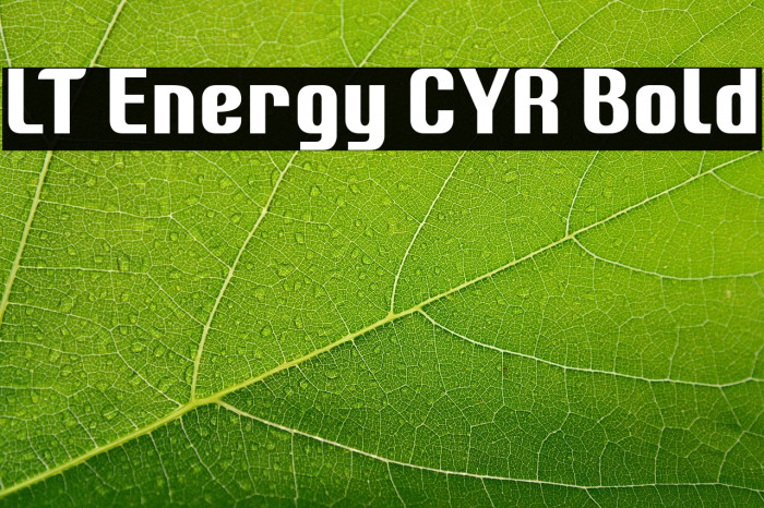LT Energy CYR Bold Example 1