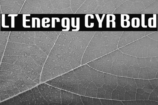 LT Energy CYR Bold Font examples