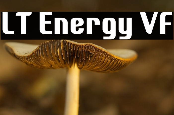 LT Energy VF Example 3