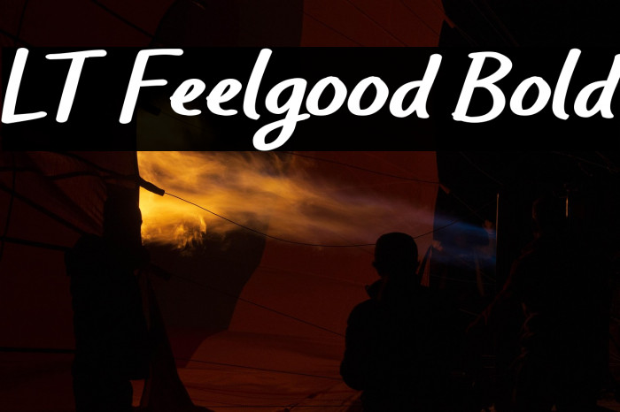 LT Feelgood Bold Example 1