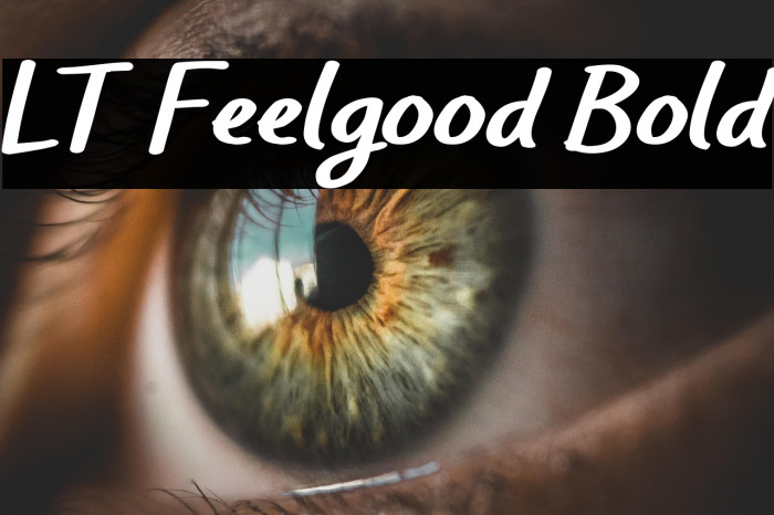 LT Feelgood Bold Example 2