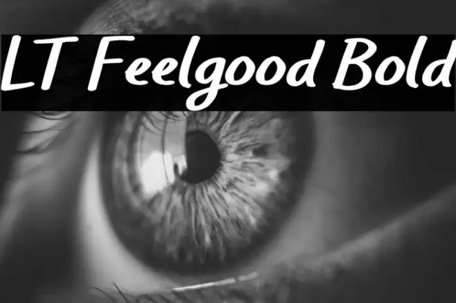 LT Feelgood Bold Example 2
