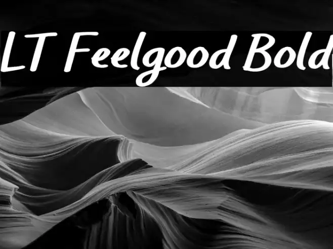 LT Feelgood Bold Example 3