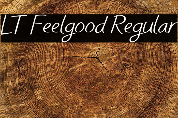 LT Feelgood Regular Example 1