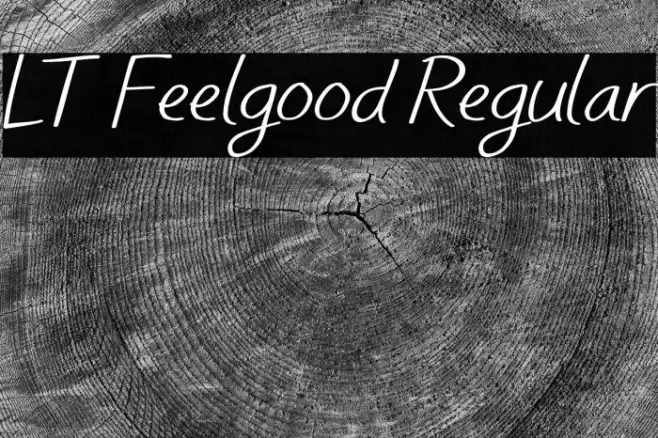 LT Feelgood Regular Example 1