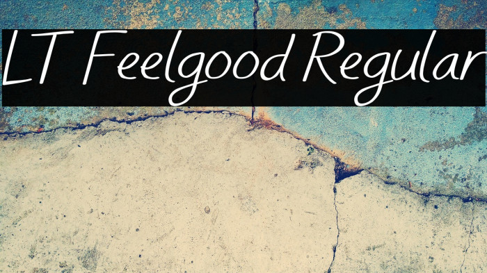 LT Feelgood Regular Example 2