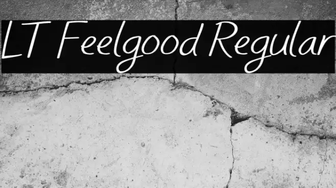 LT Feelgood Regular Example 2