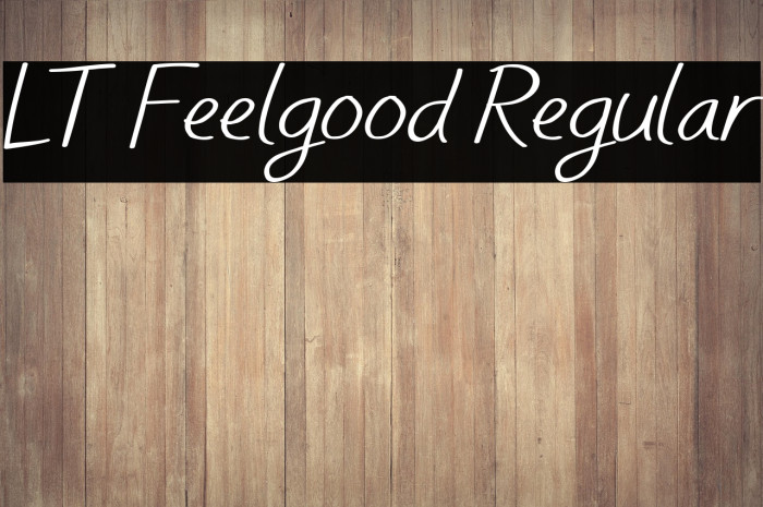 LT Feelgood Regular Example 3