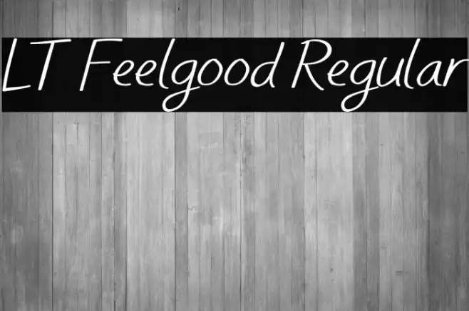 LT Feelgood Regular Example 3