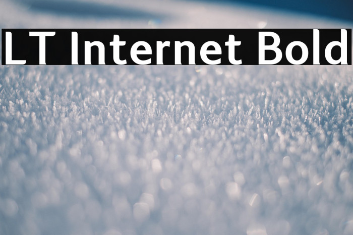 LT Internet Bold Example 2