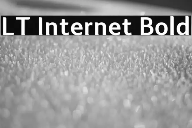 LT Internet Bold Example 2