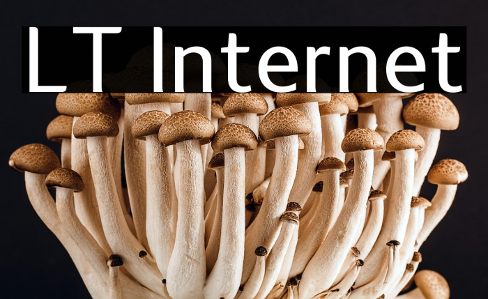 LT Internet Example 1