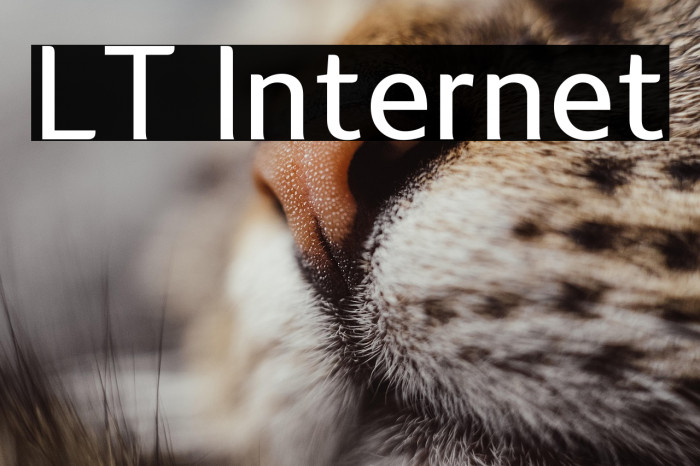 LT Internet Example 2