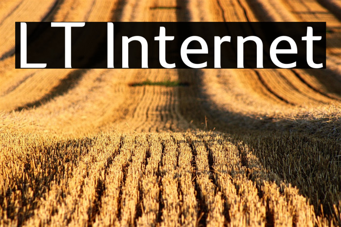 LT Internet Example 3