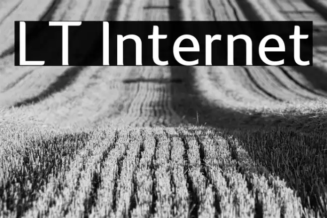 LT Internet Example 3