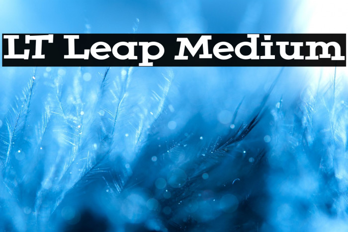 LT Leap Medium Example 1