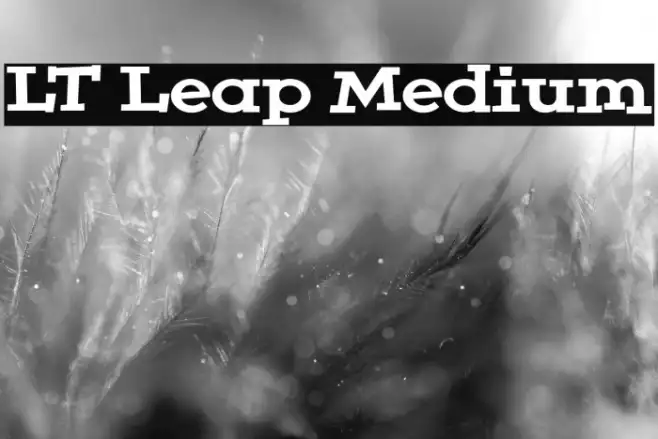 LT Leap Medium Example 1