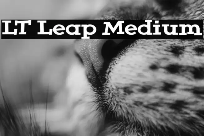 LT Leap Medium Example 2
