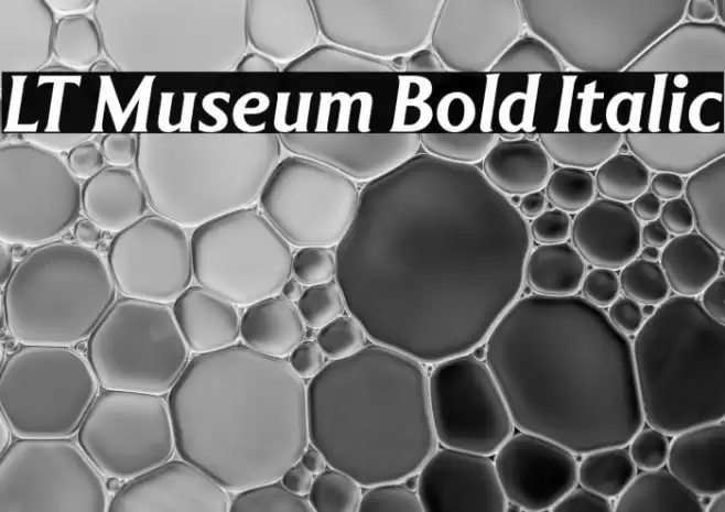 LT Museum Bold Italic Font examples