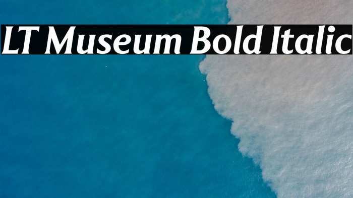 LT Museum Bold Italic Example 3
