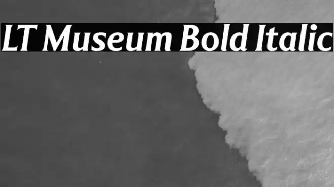 LT Museum Bold Italic Font examples