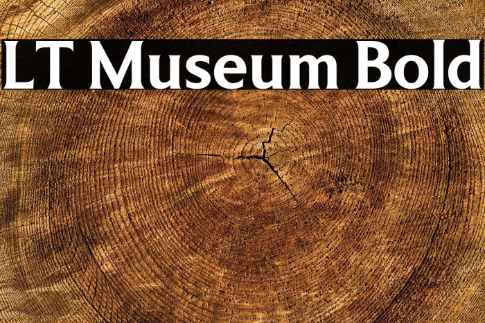 LT Museum Bold Example 1