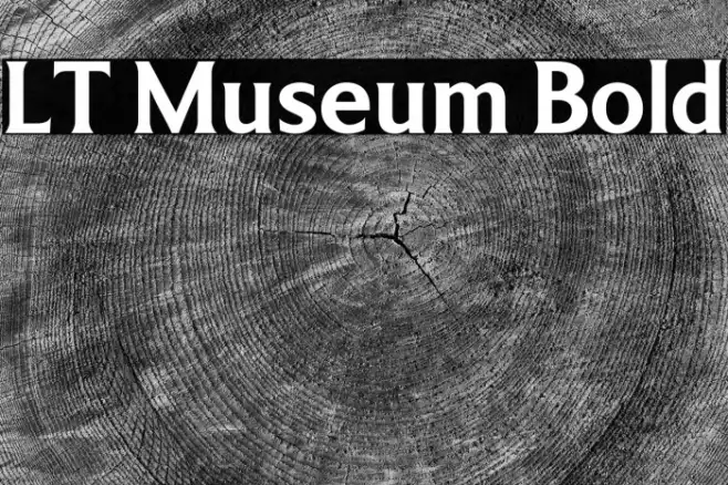 LT Museum Bold Example 1