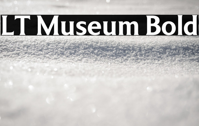 LT Museum Bold Example 2