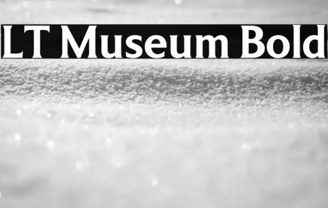 LT Museum Bold Example 2