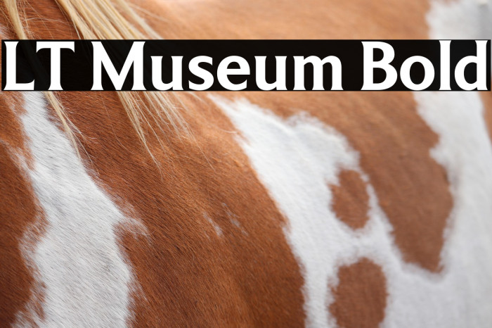 LT Museum Bold Example 3