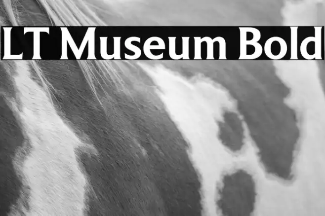 LT Museum Bold Example 3