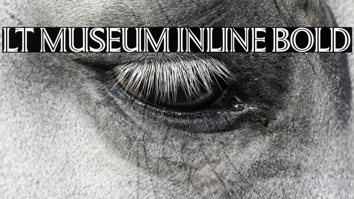 LT Museum Inline Bold Example 1