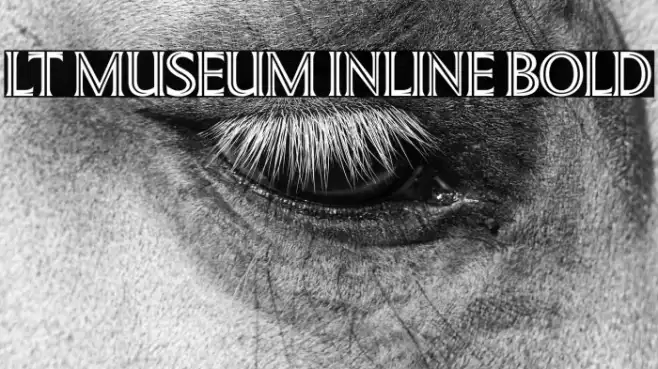 LT Museum Inline Bold Example 1