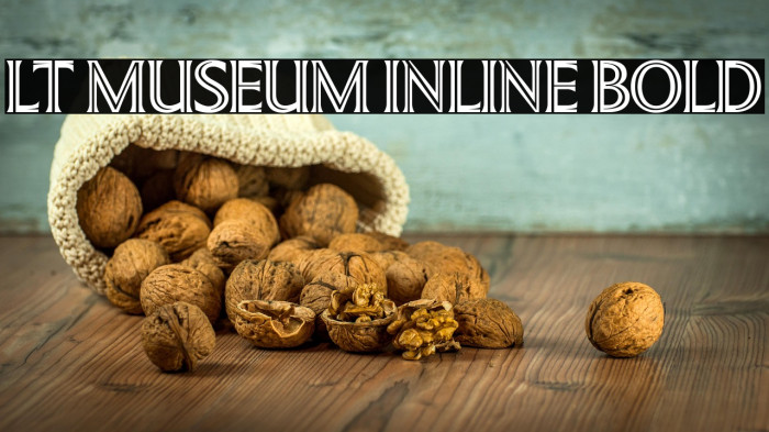 LT Museum Inline Bold Example 2