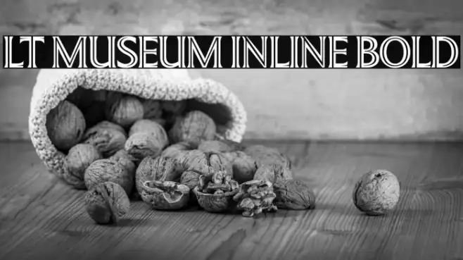 LT Museum Inline Bold Example 2