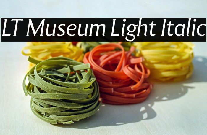 LT Museum Light Italic Example 1