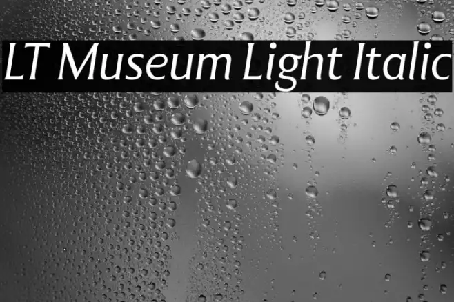 LT Museum Light Italic Example 2