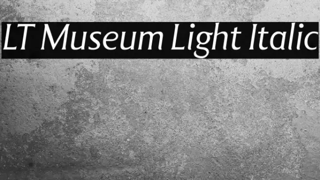 LT Museum Light Italic Example 3